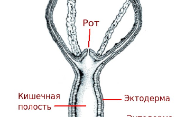 Впн для кракена